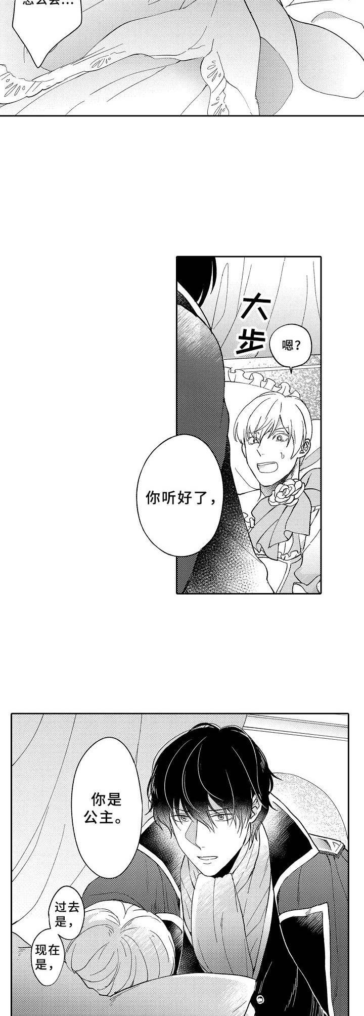 第4章：公主