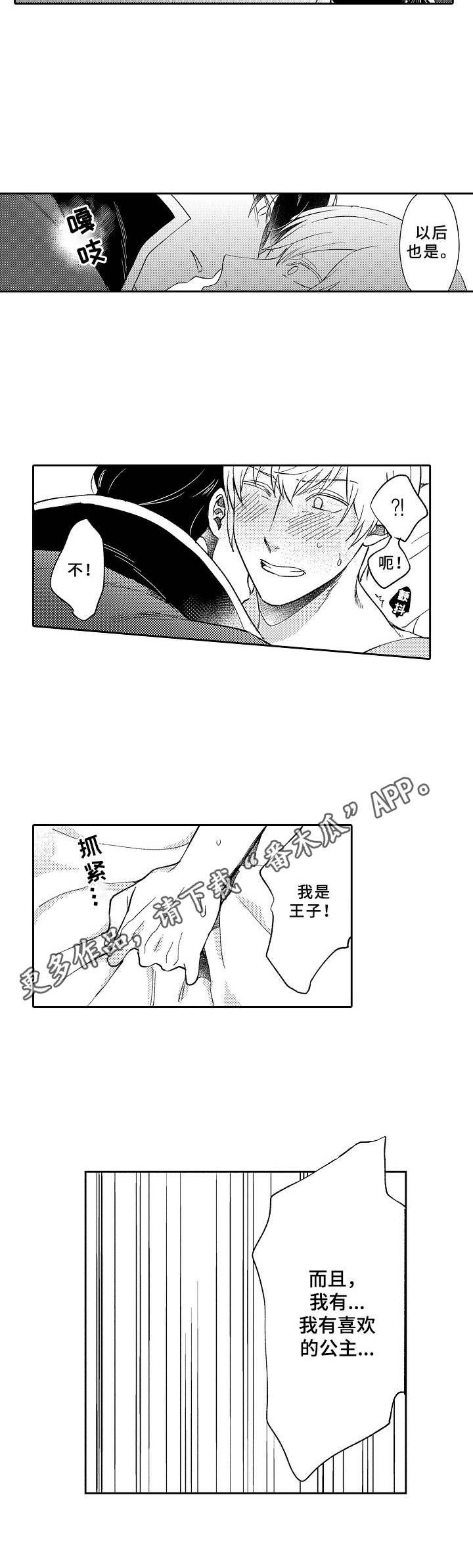 第4章：公主