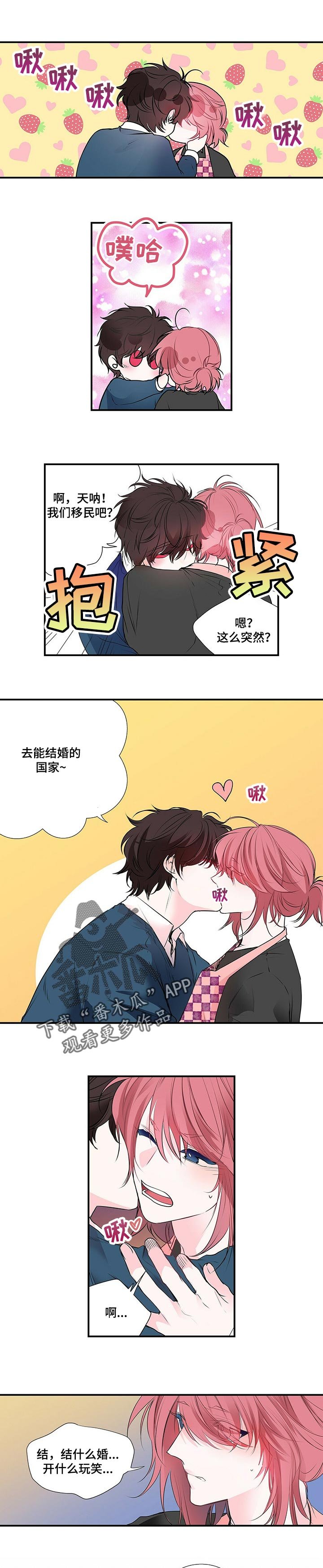 第100章：去能结婚的地方
