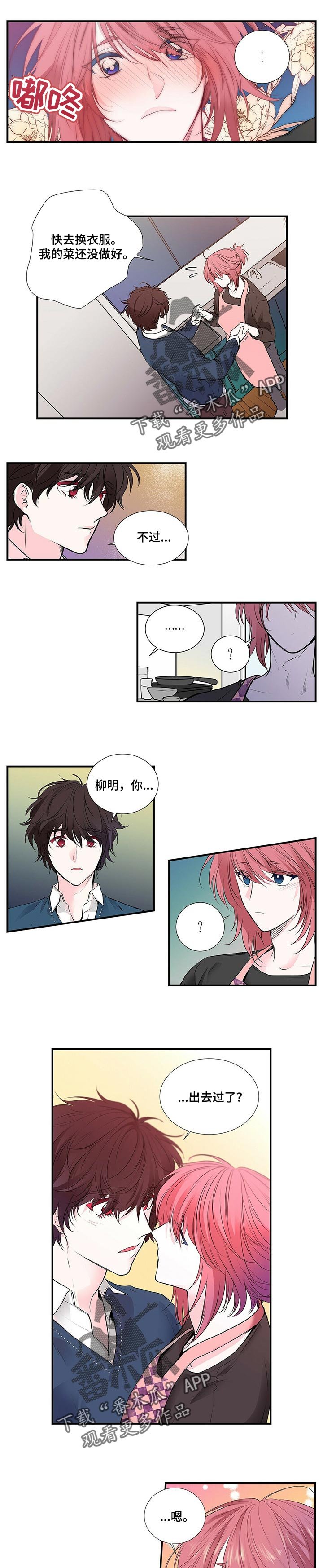 第100章：去能结婚的地方