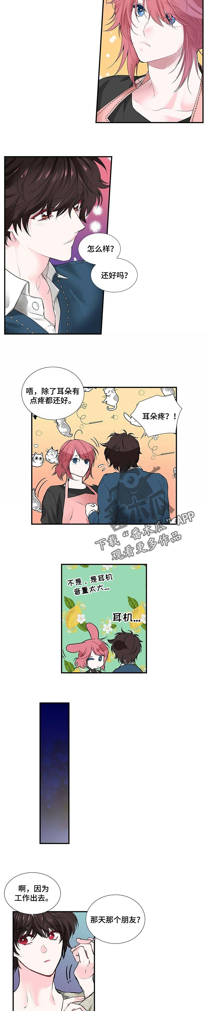 第100章：去能结婚的地方