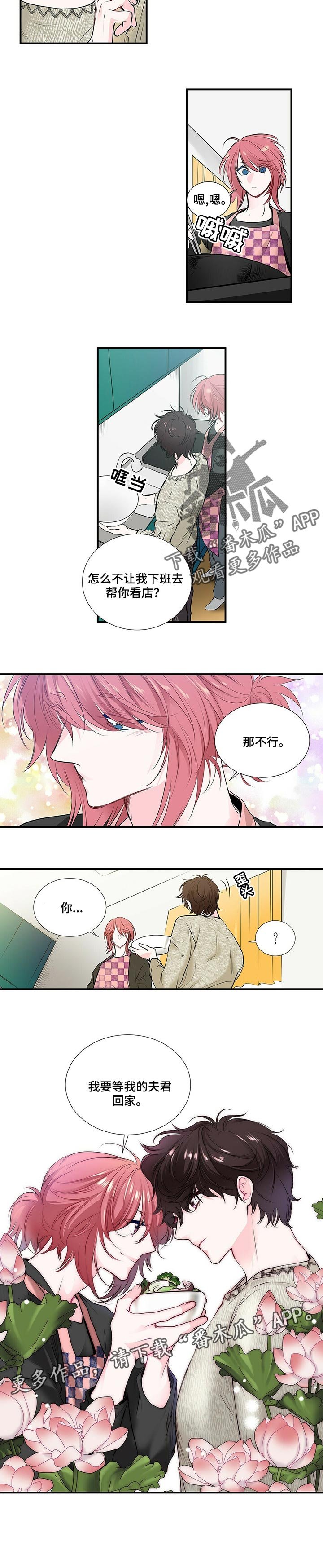 第100章：去能结婚的地方