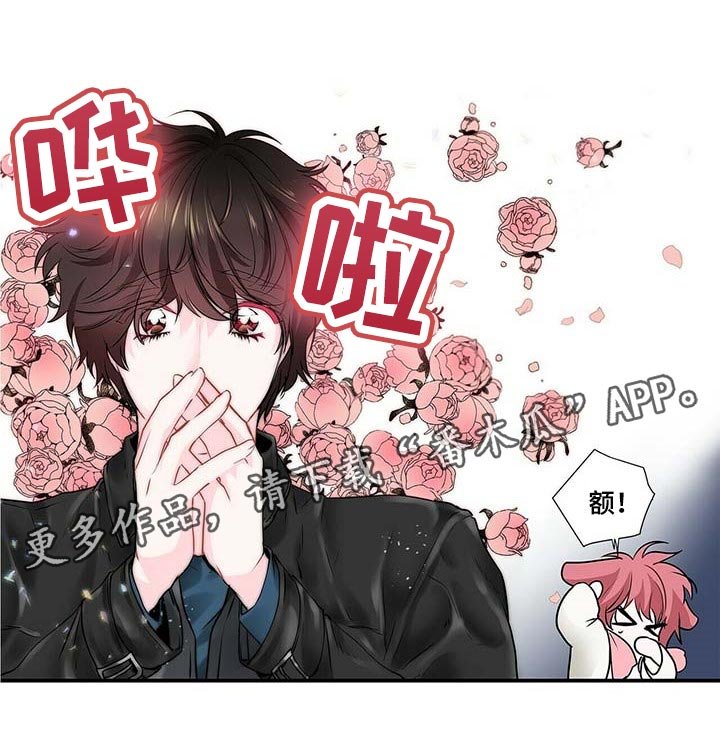 第103章：我们移民吧