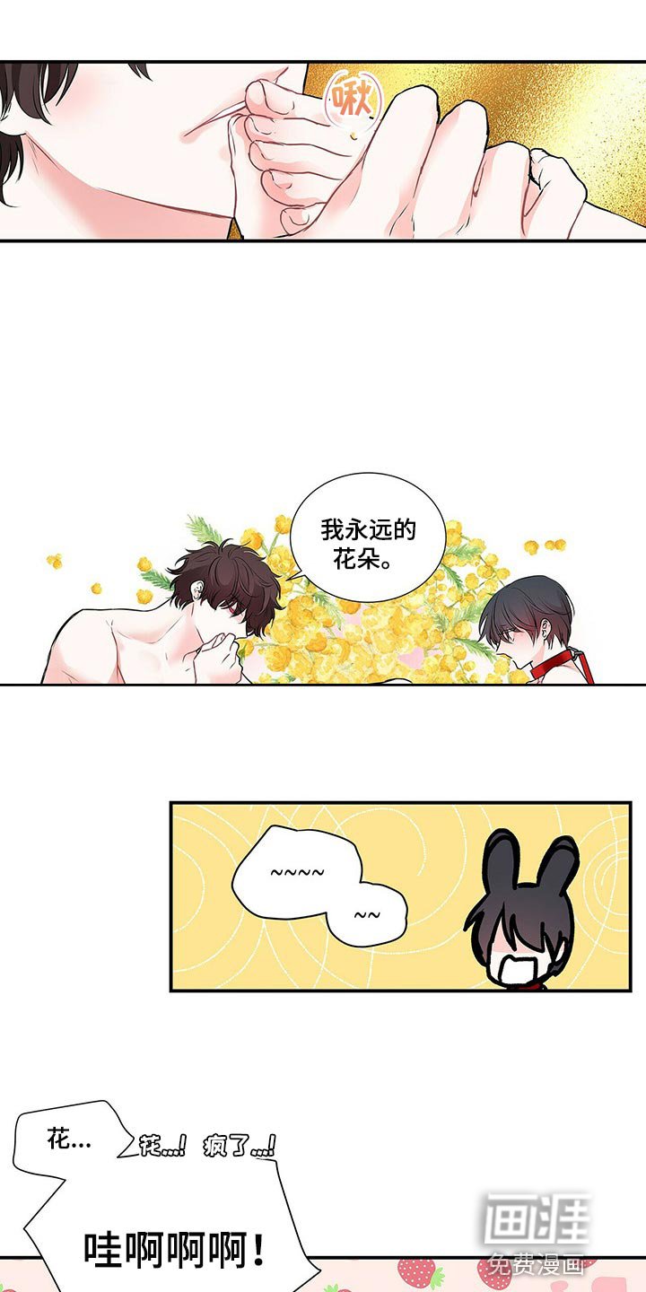 第122章：【番外】我永远的花朵（完结）