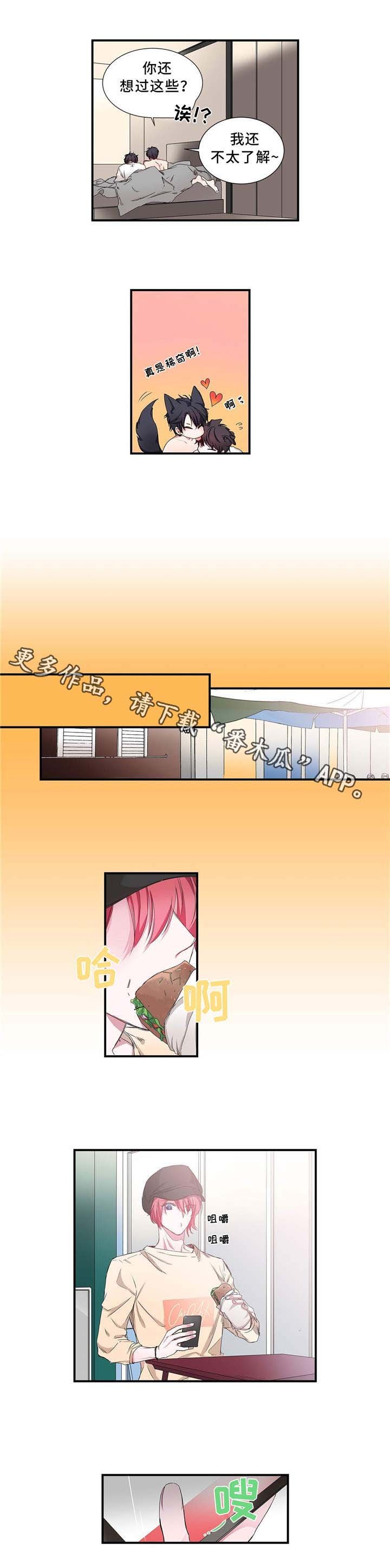 第13章：咨询