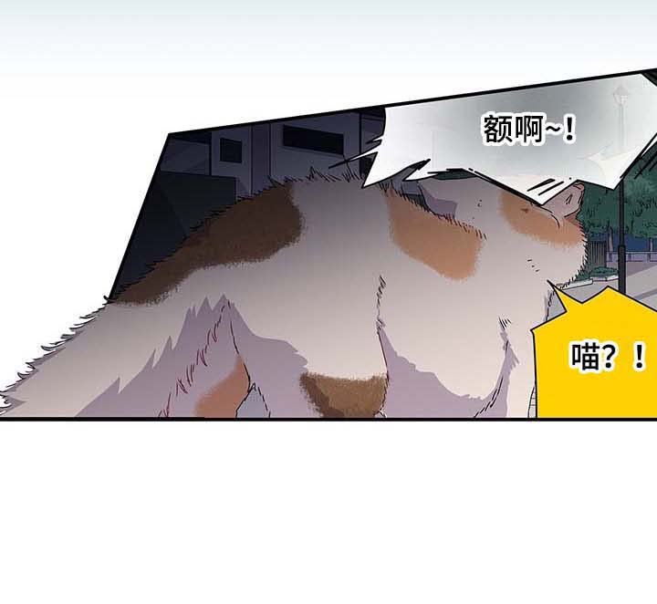 第22章：这个混蛋