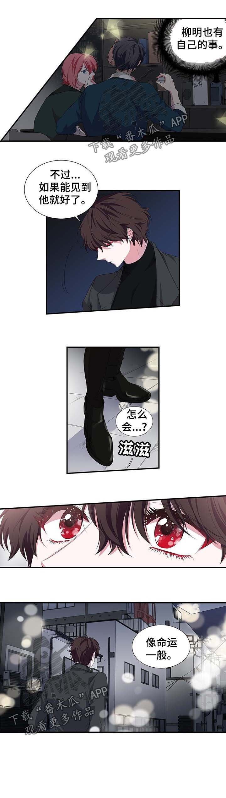 第32章：像命运一般