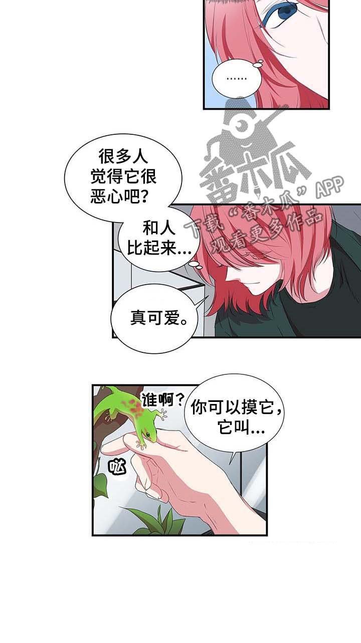 第33章：老虎