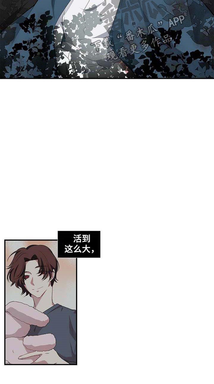 第45章：放心不下