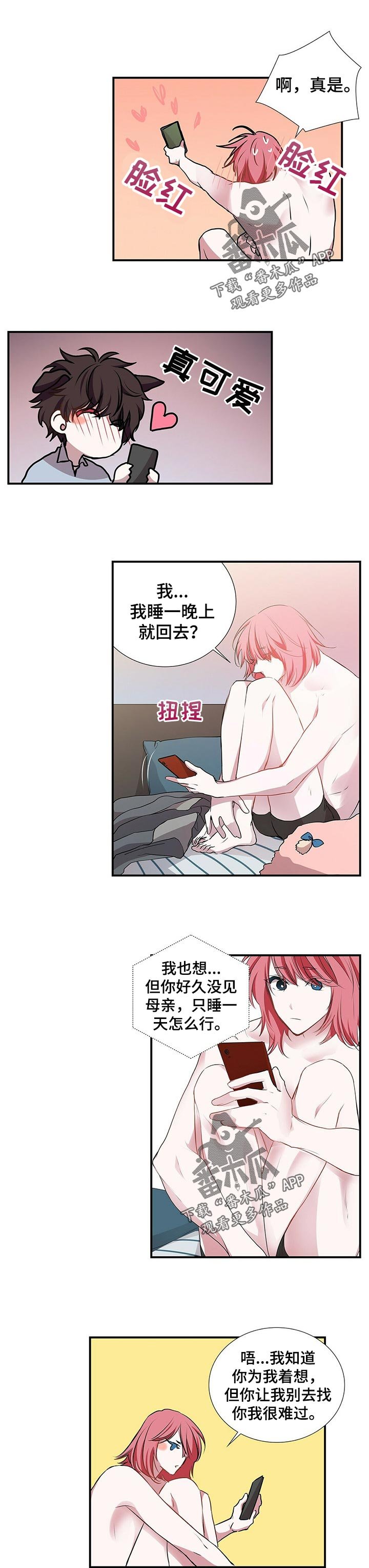 第77章：缘分还是孽缘
