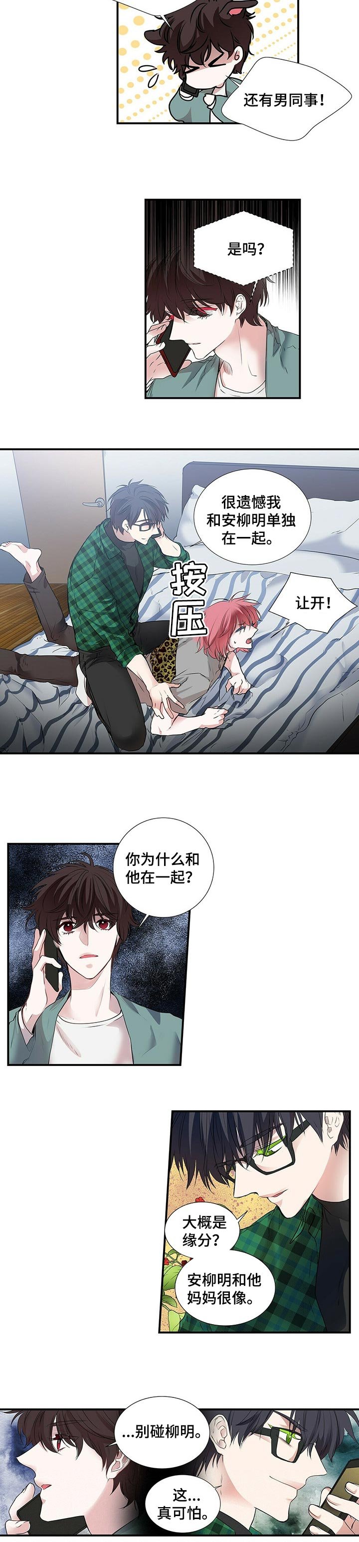第81章：缘分