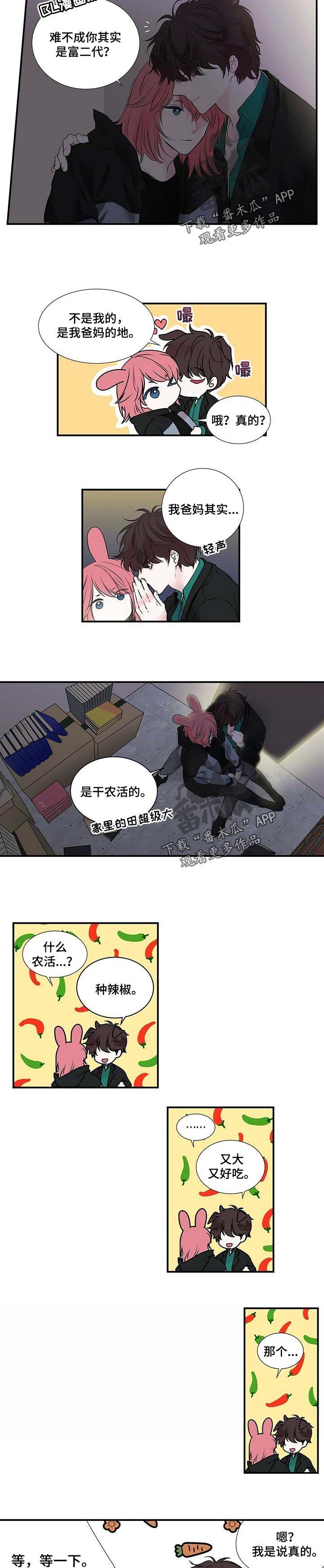 第95章：我们回家