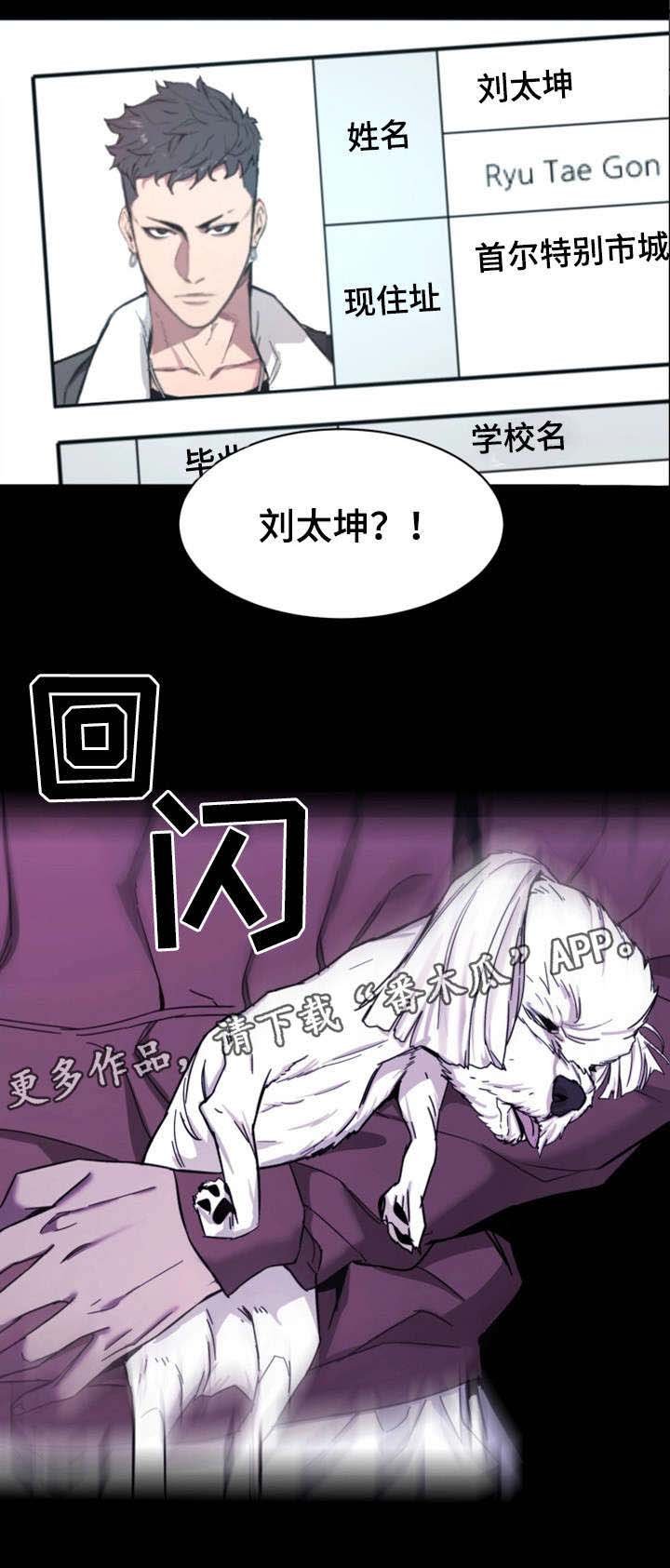 第39章：资料