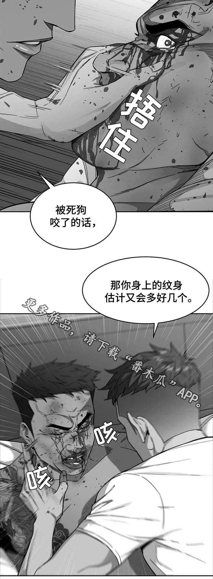 第6章：视频