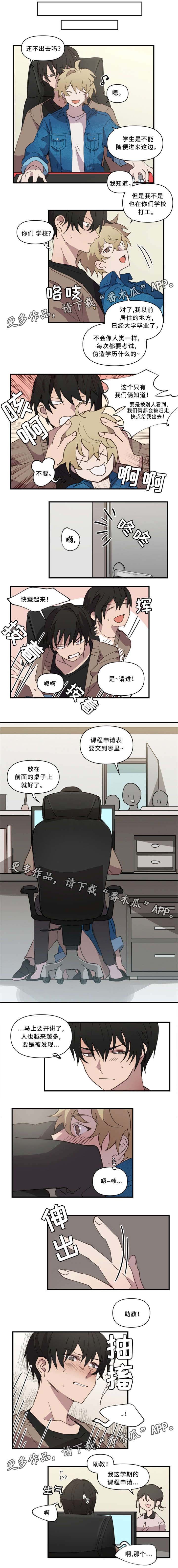 第22章：不要过来