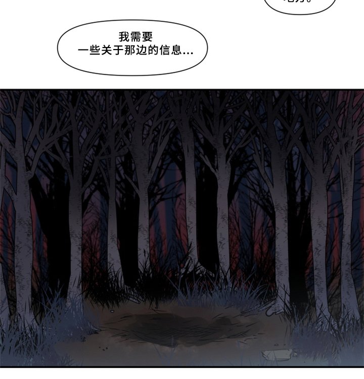 第28章：暴露