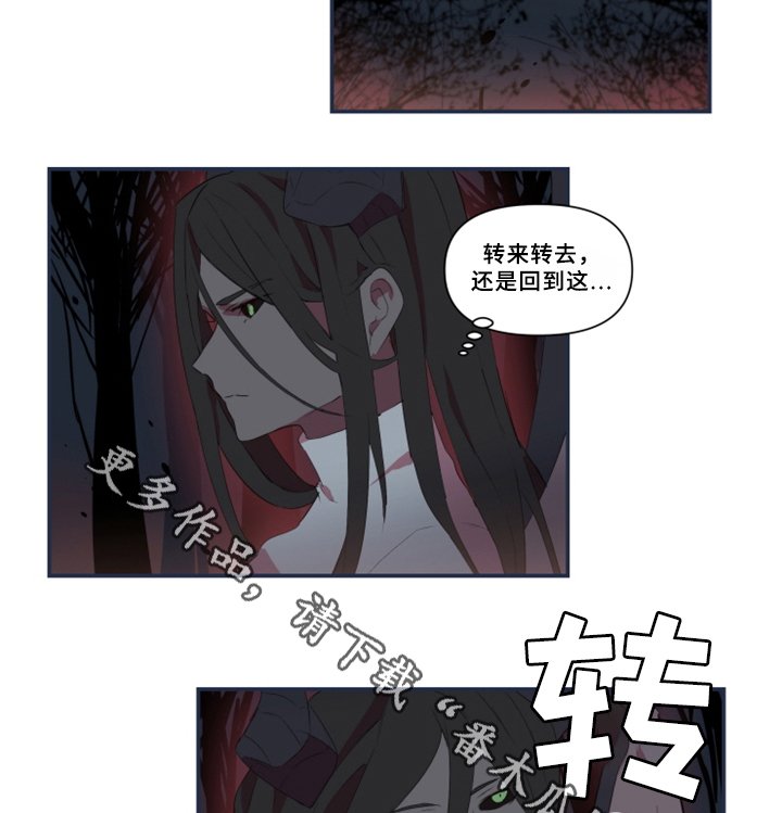 第28章：暴露