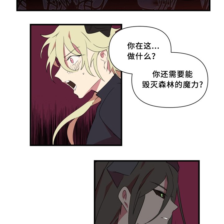 第28章：暴露