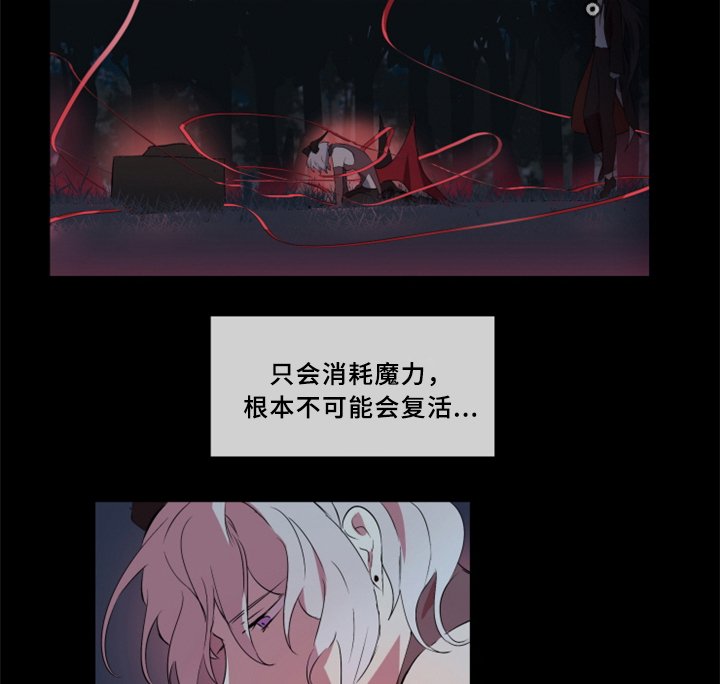 第29章：我一定会阻止