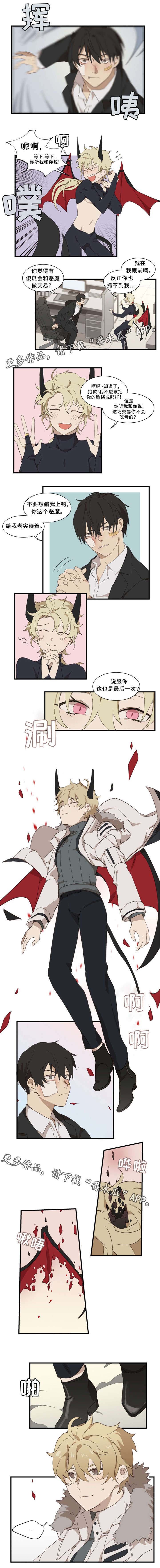 第3章：方案