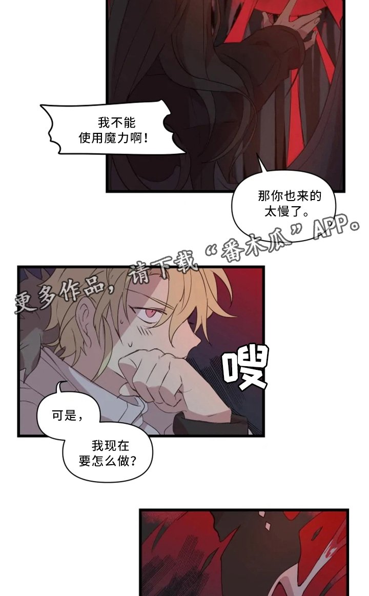 第33章：战斗准备