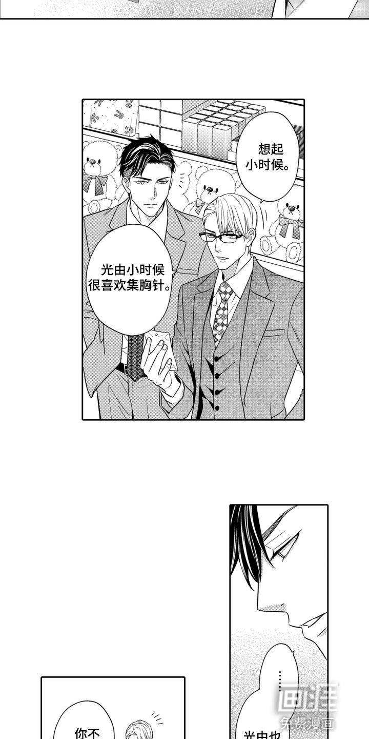 第8章：胸针