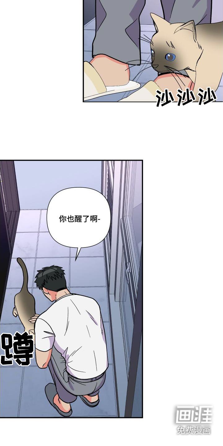 第112章：【第三季】报告