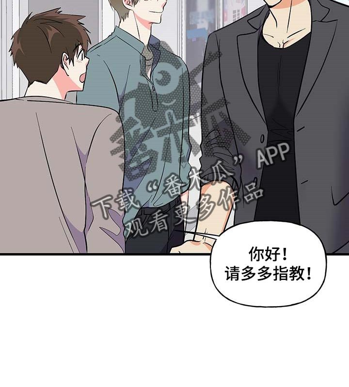 第49章：询问工作