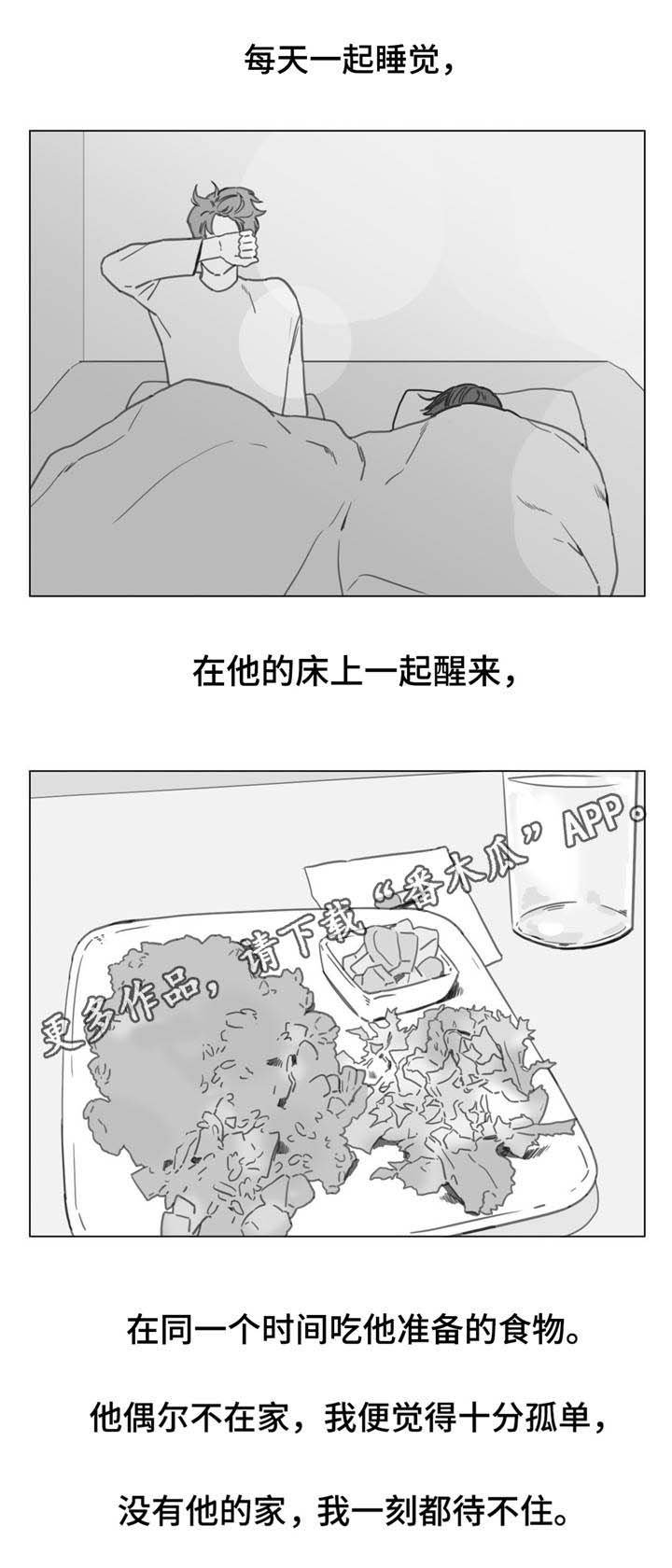 第21章：各自的心思