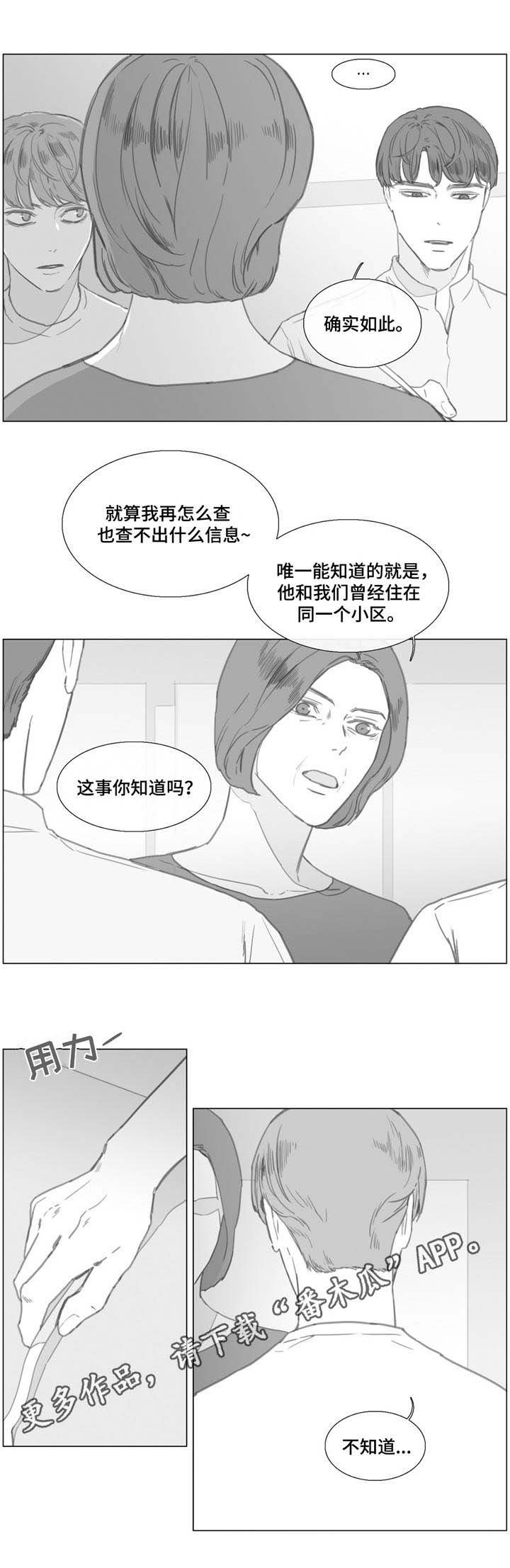 第23章：是真是假？