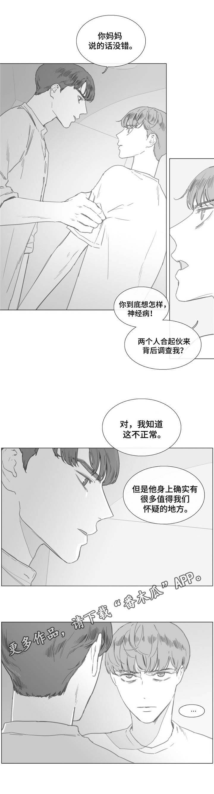 第23章：是真是假？