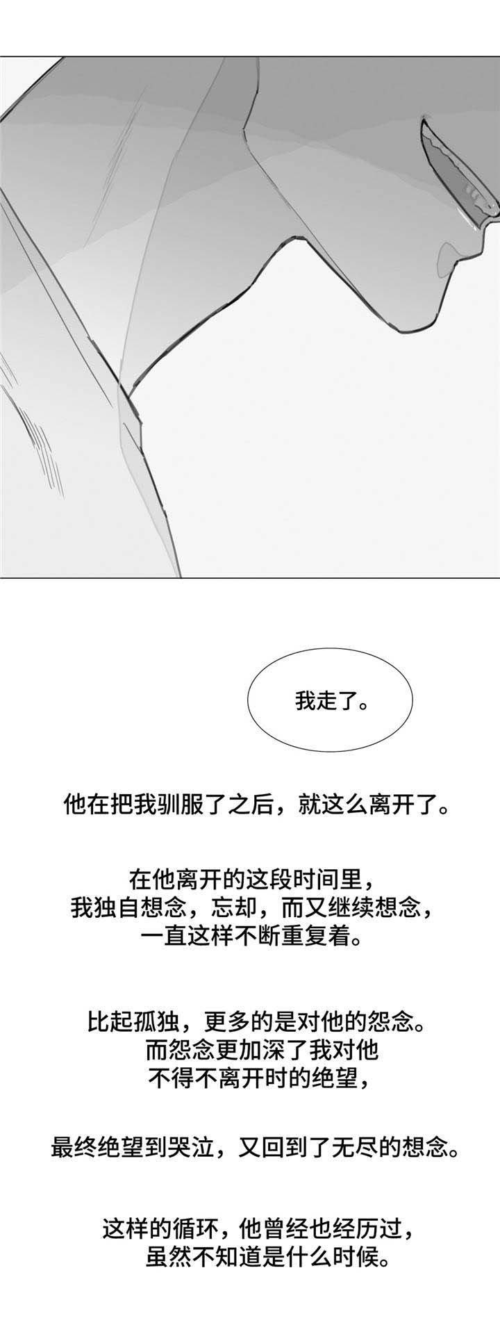 第26章：等他回来