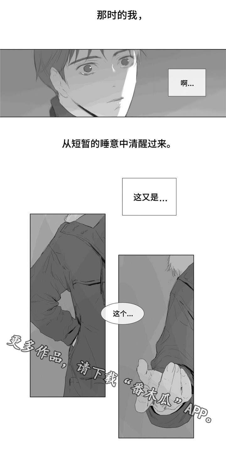 第3章：一见钟情