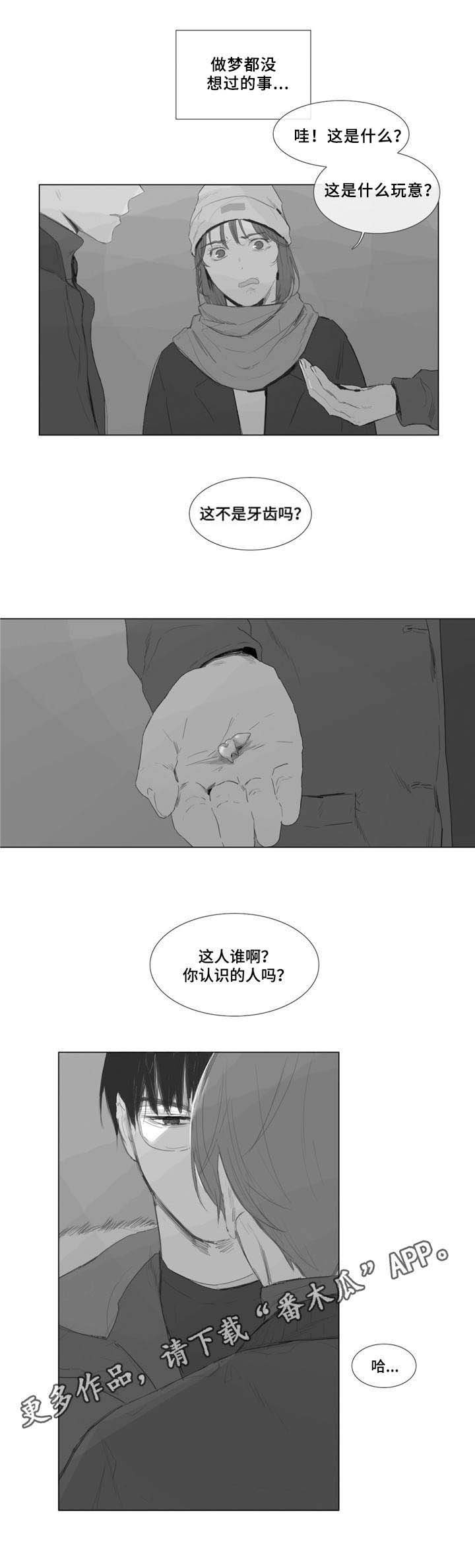 第3章：一见钟情