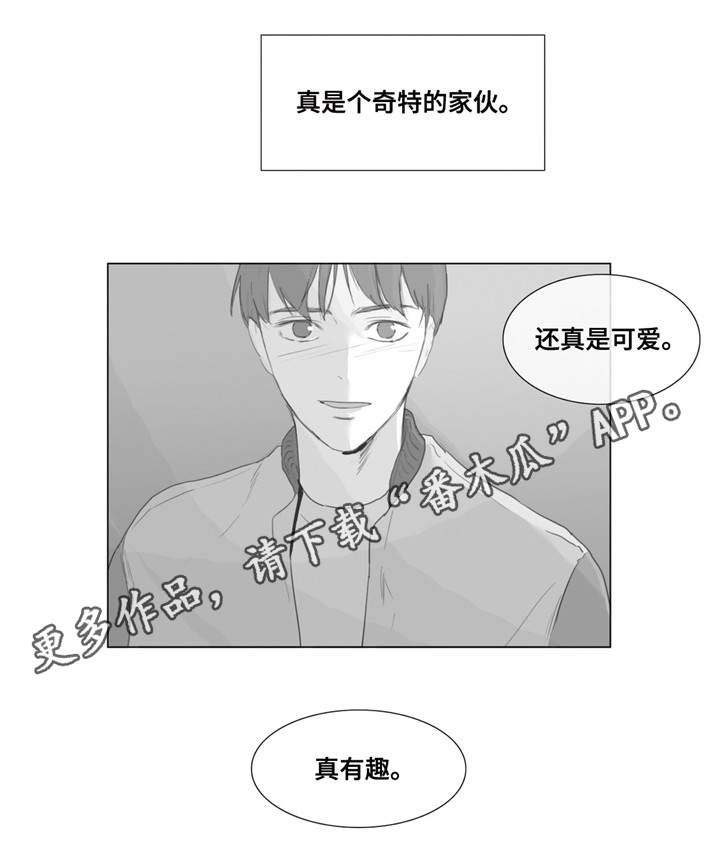 第3章：一见钟情