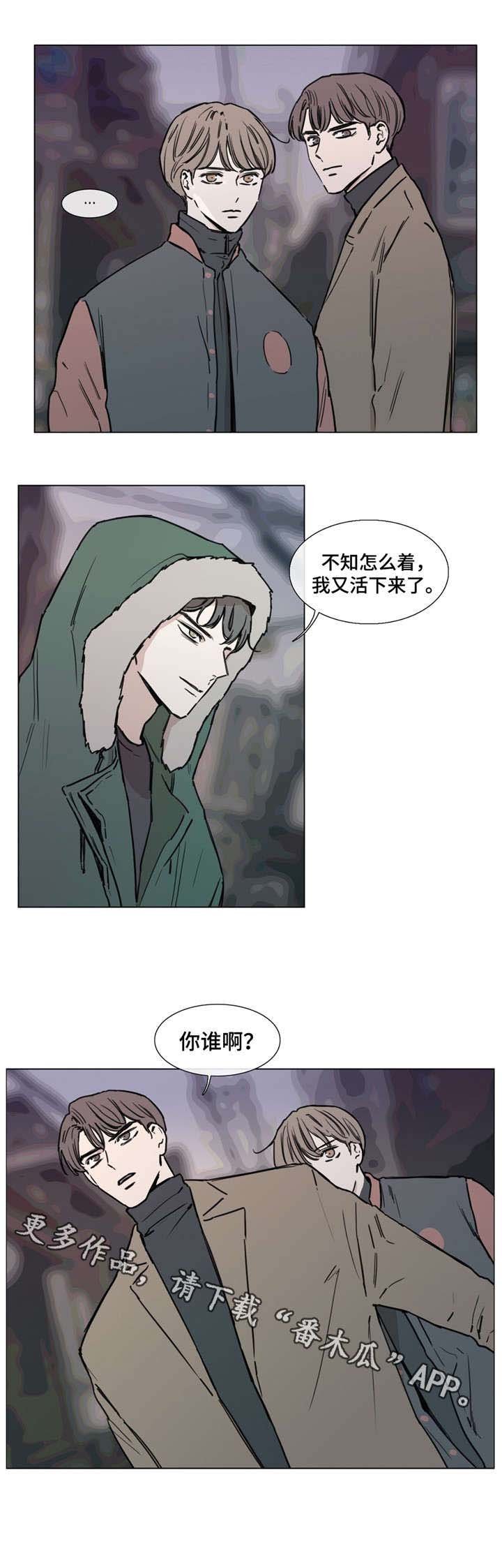 第46章：复仇