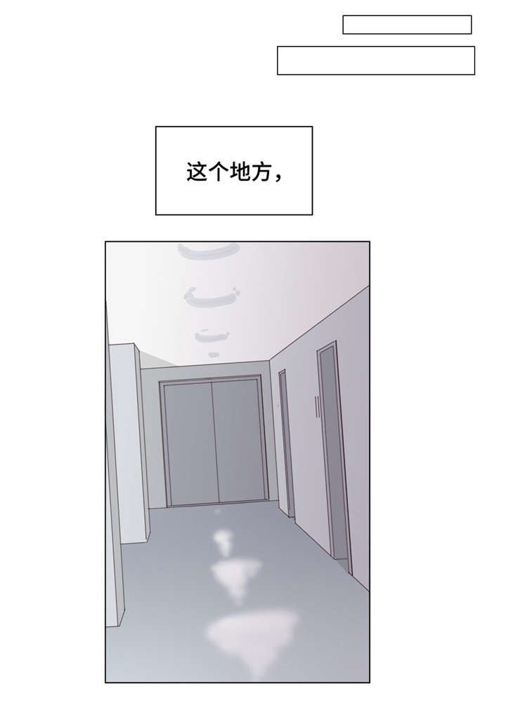 第51章：真相