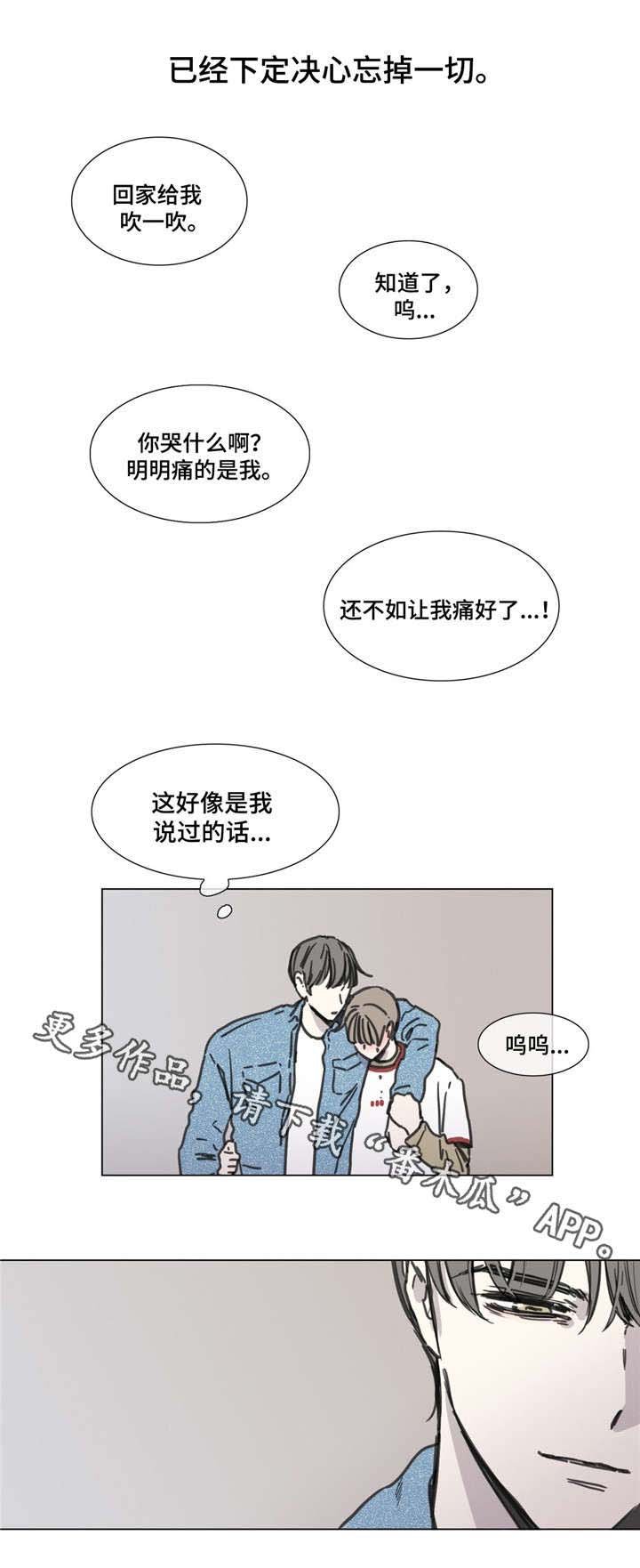 第53章：展望未来