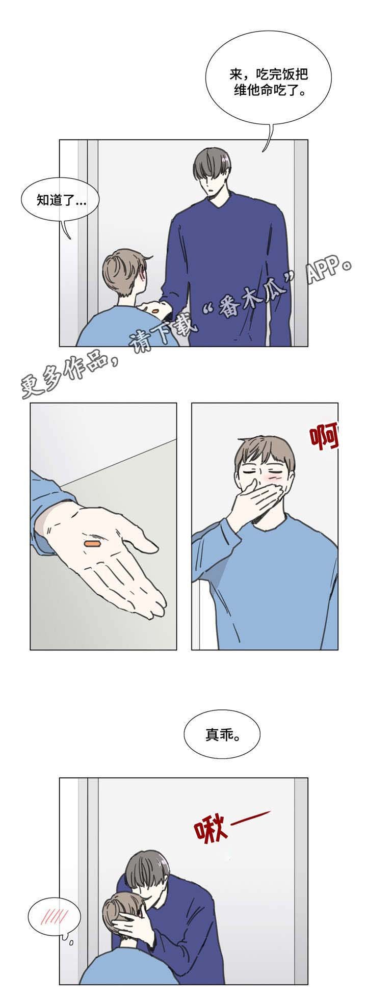 第53章：展望未来
