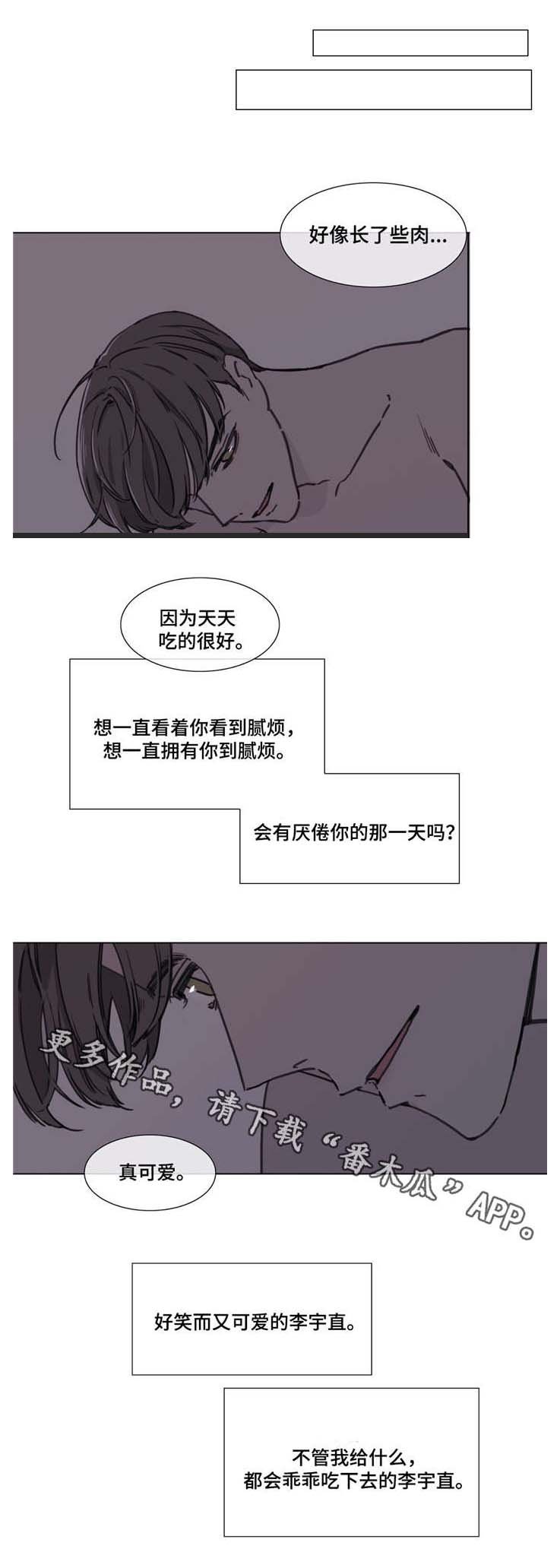 第53章：展望未来