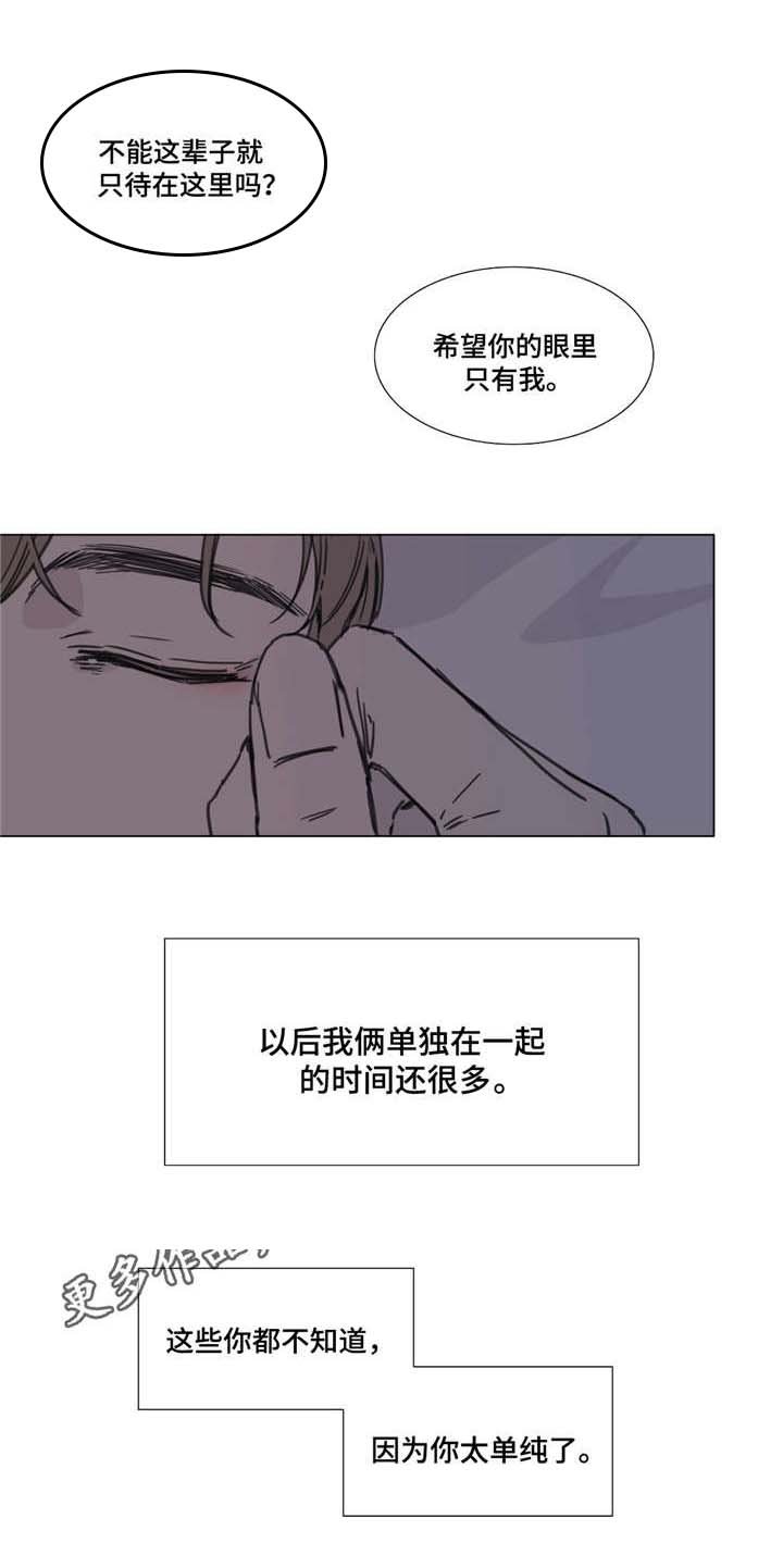 第53章：展望未来