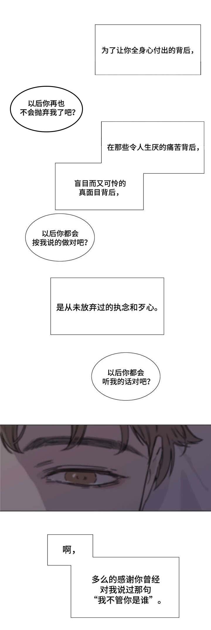 第53章：展望未来