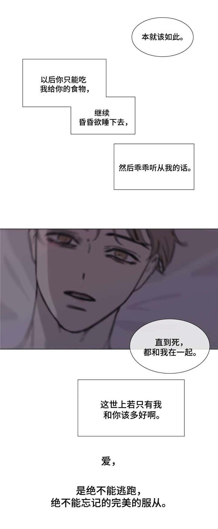 第53章：展望未来