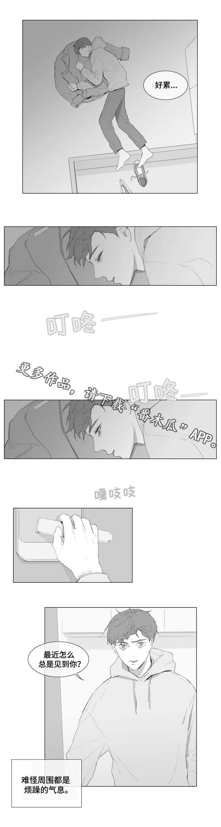 第8章：造成伤害