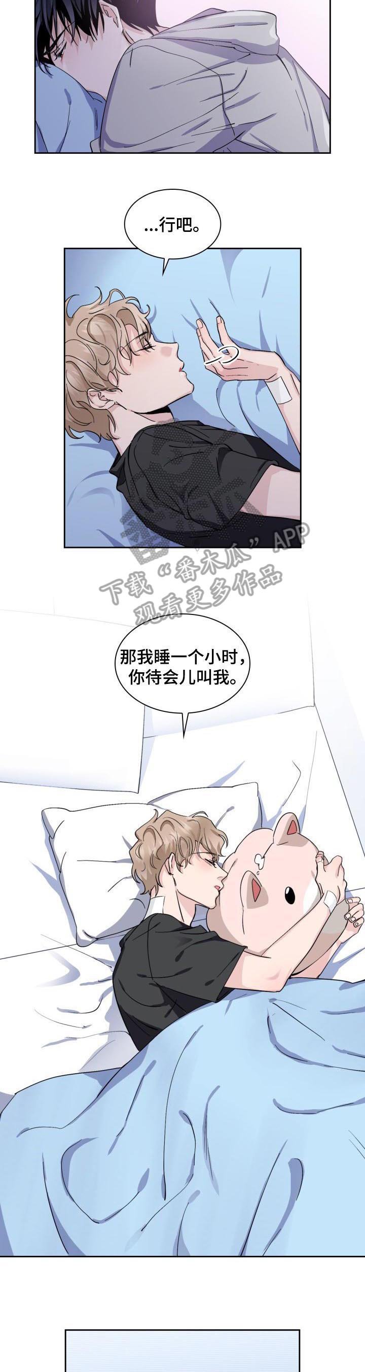 第8章：猫和小鱼干