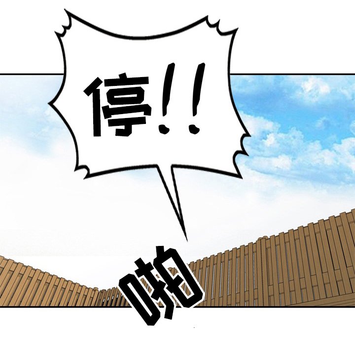 第42章：真正的演员