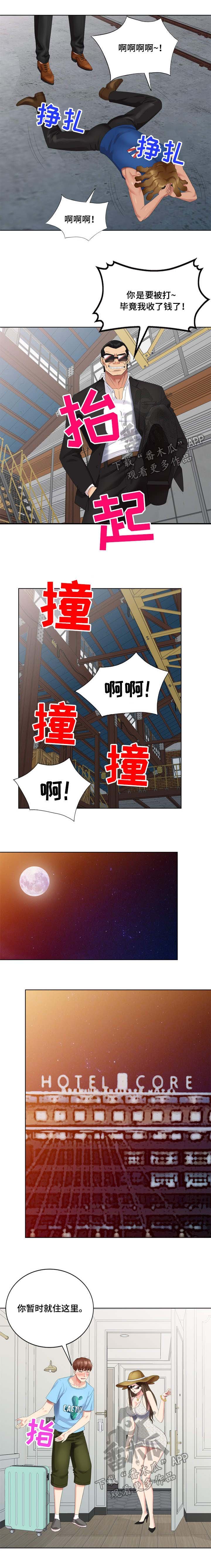 第65章：梦中情人