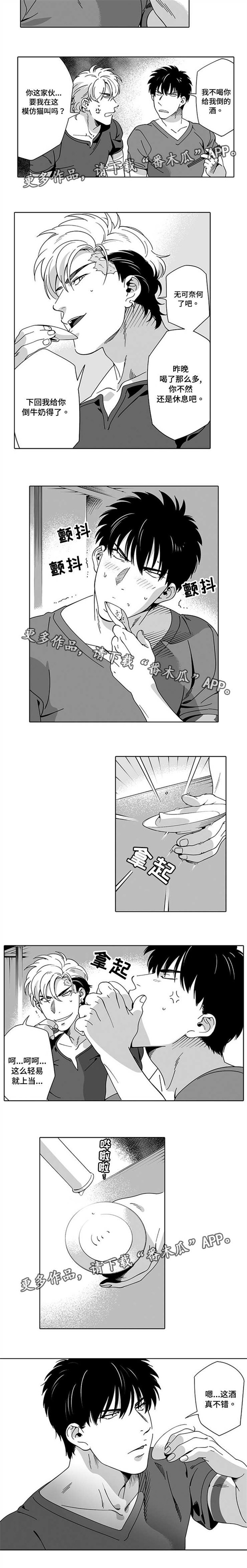 第13章：确定一下