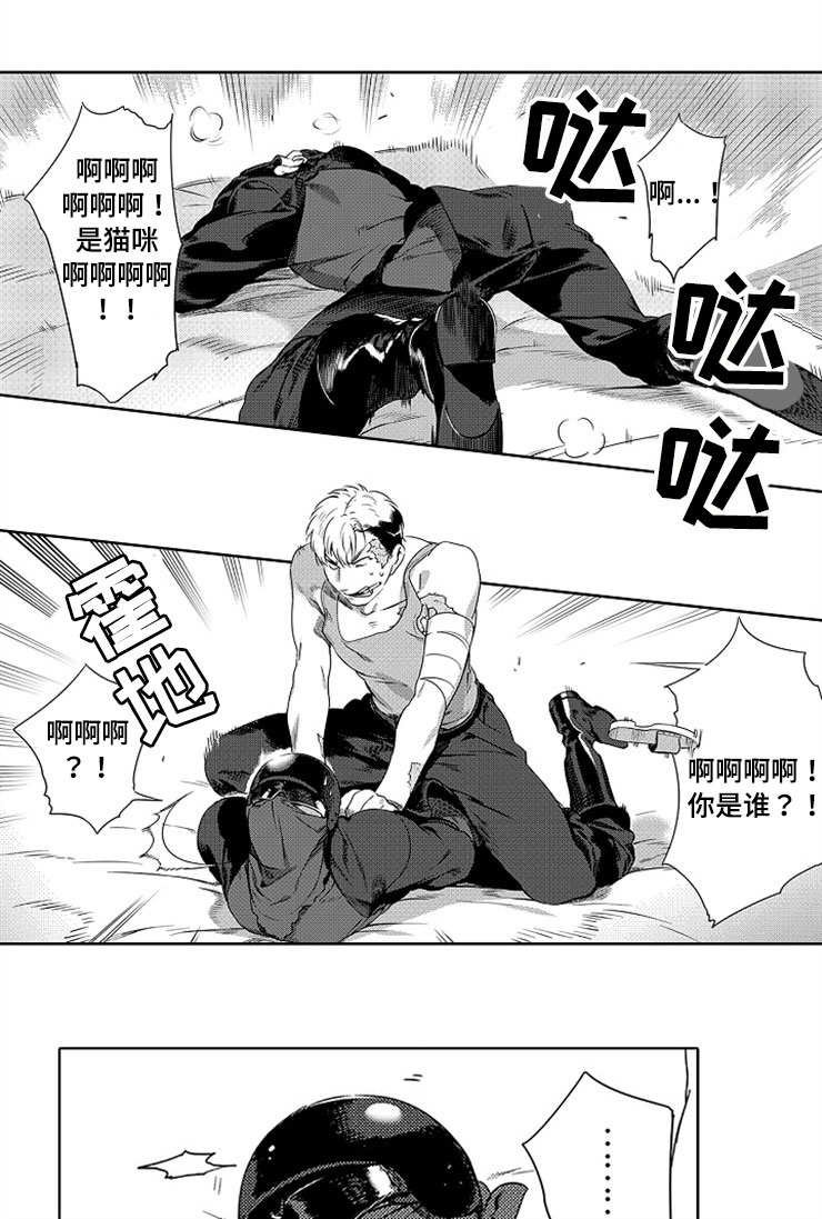 第2章：致命弱点