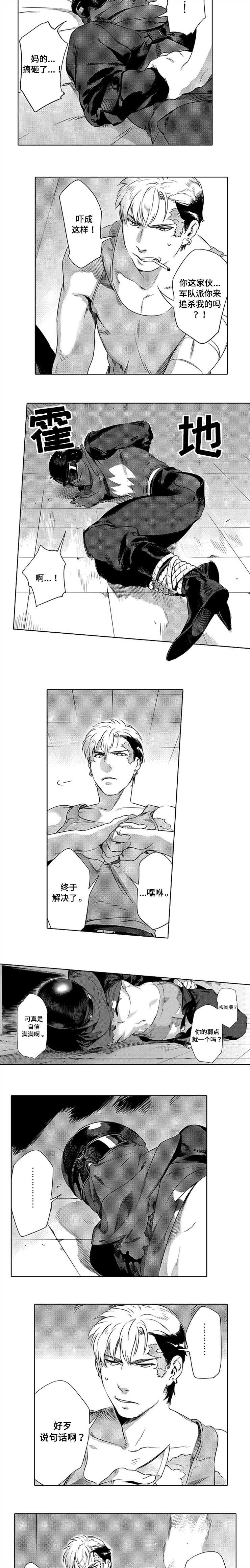 第2章：致命弱点